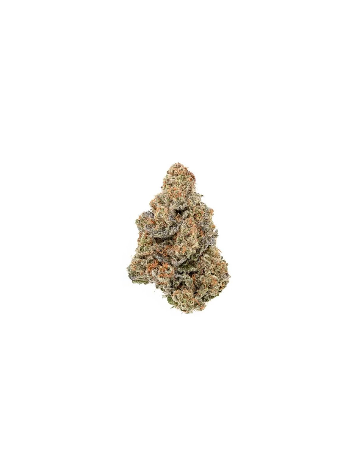Gas Gas Fleur de CBD