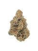Gas Gas Fleur de CBD