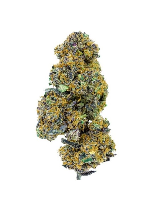 Blueberry Muffin Fleur CBD