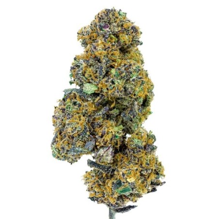 Blueberry Muffin Fleur CBD