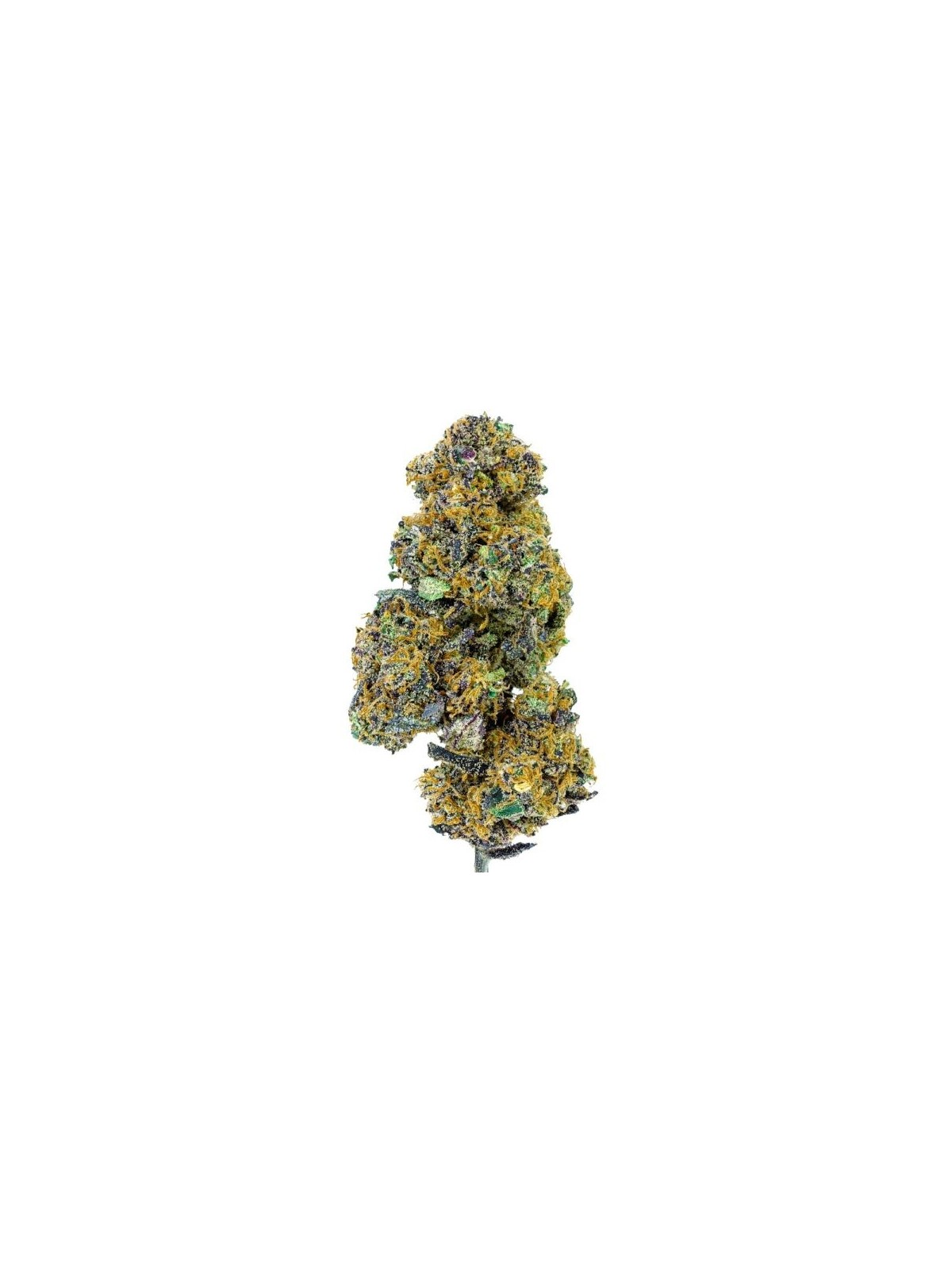 Blueberry Muffin Fleur CBD