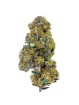 Blueberry Muffin Fleur CBD