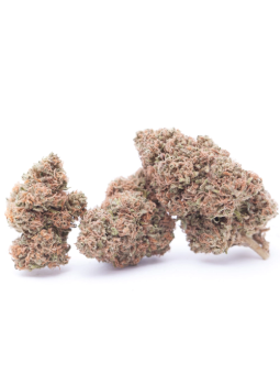 Sunset Berry Fleur CBD