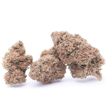 Sunset Berry Fleur CBD