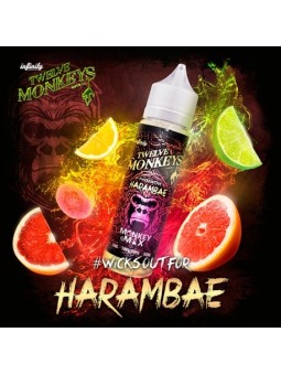 Harambae  50ml de Twelve Monkeys